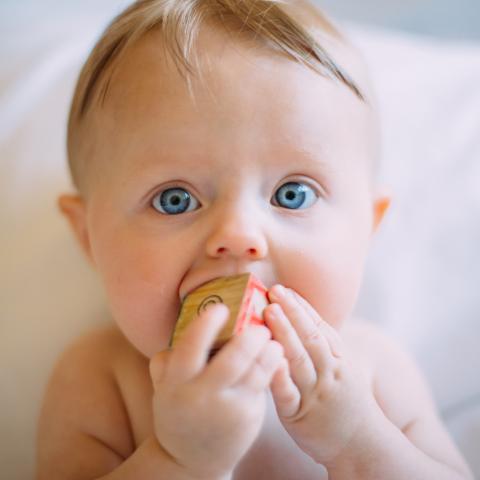 Infant nutrition and asthma